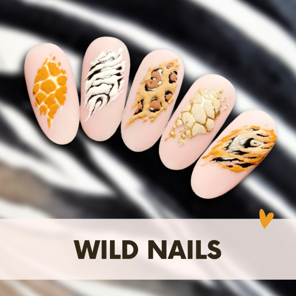 Szkolenie VOD Wild Nails (z certyfikatem) + bonus